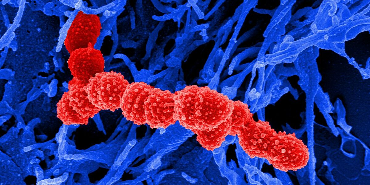 Pneumofluidics