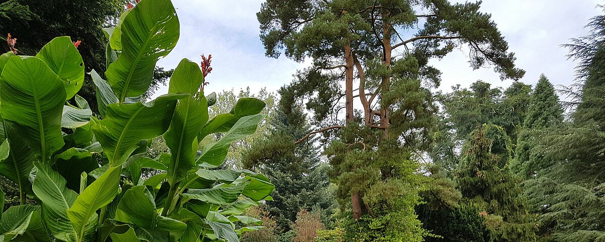 Arboretum - Photo: Magnus Schult