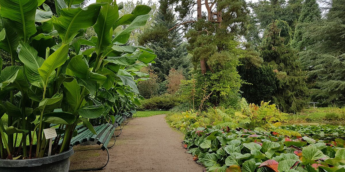 Arboretum - Photo: Magnus Schult