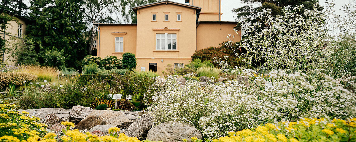 Freilandbereich des Botanischen Gartens - Foto: Till Junker