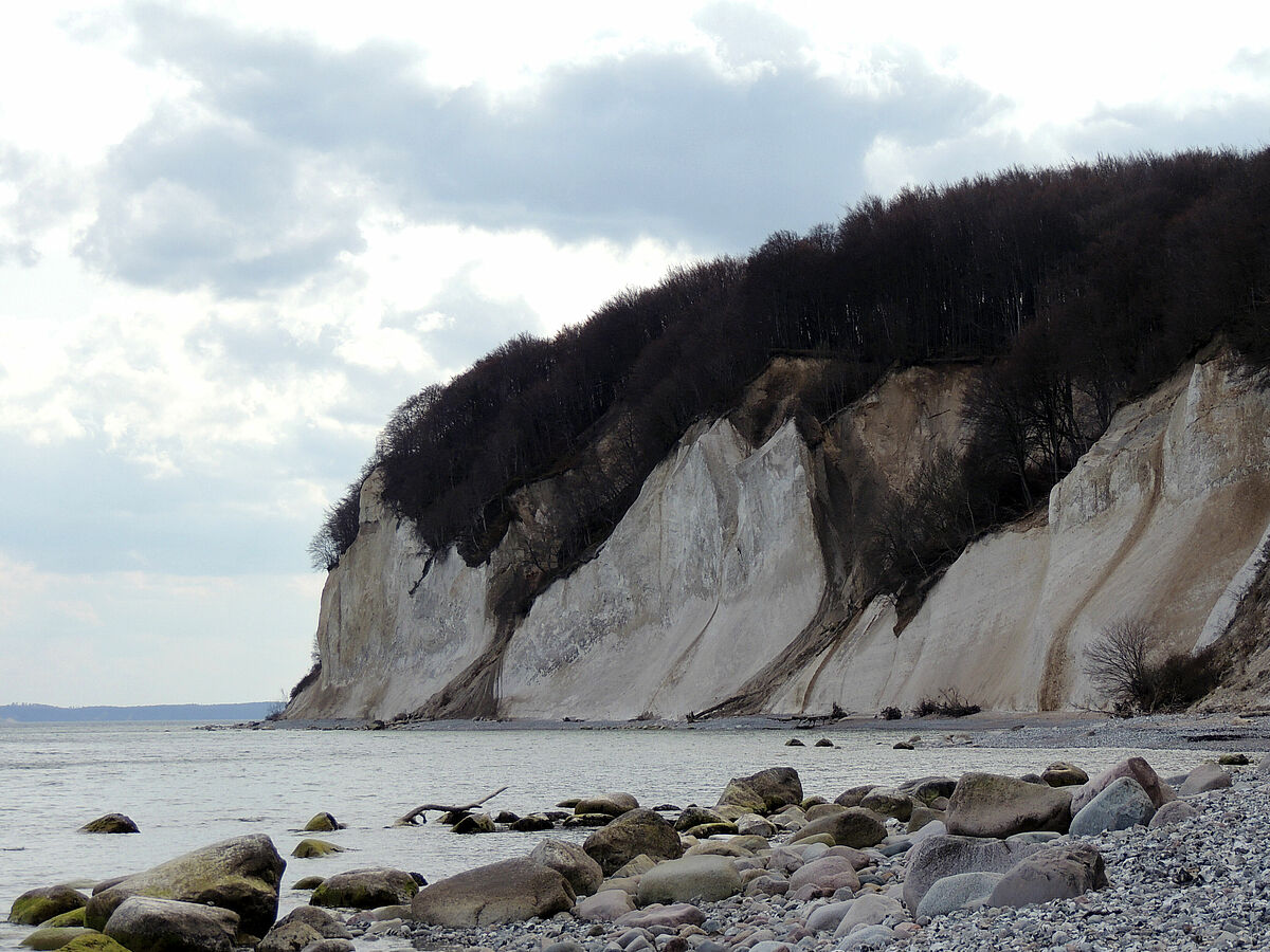 Kreideschuppen an der Ostküste der Halbinsel Jasmund @Anna_Gehrmann