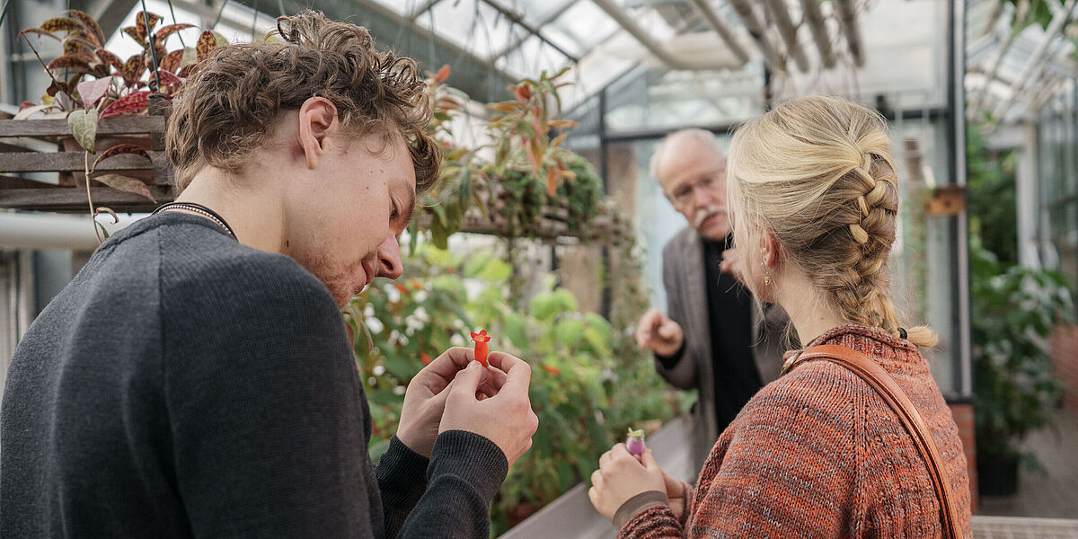 Studierende im Botanischen Garten Von hinten sieht man einen Studenten und eine Studentin, die im Gewächshaus stehen und rote Pflanzenteile in ihrer Hand halten und begutachten. Im Hintergrund steht der Professor der Botanik.