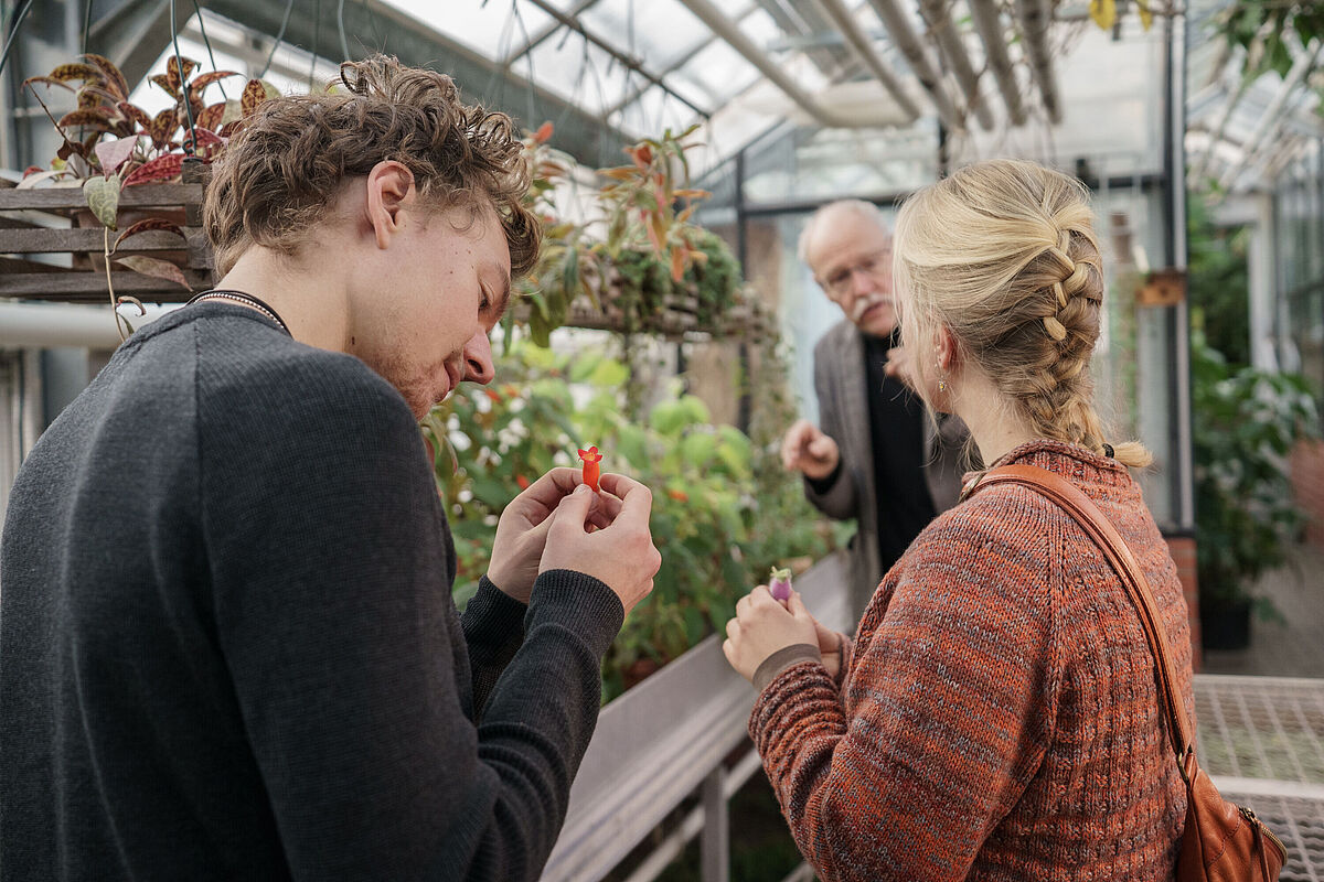 Studierende im Botanischen Garten Von hinten sieht man einen Studenten und eine Studentin, die im Gewächshaus stehen und rote Pflanzenteile in ihrer Hand halten und begutachten. Im Hintergrund steht der Professor der Botanik.