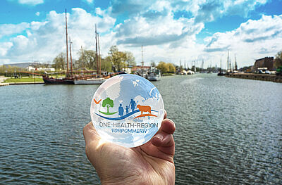 Motivbild für One-Health-Region Vorpommern. In einer Glaskugel ist das Signet der gesunden region zu sehen. Dahinter ist der Museumshafen Greifswald im Bild.