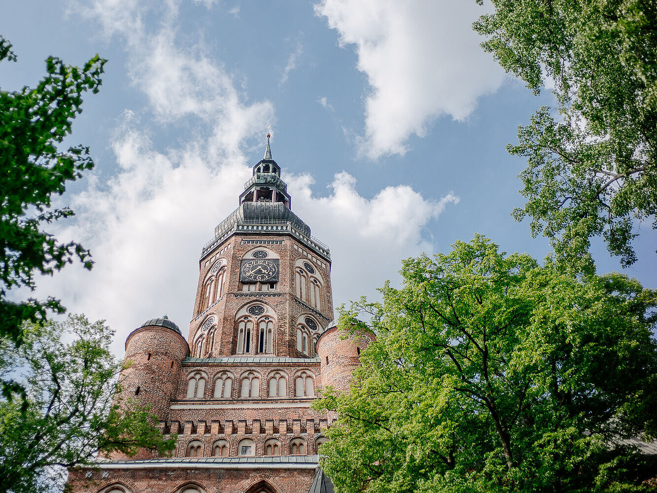 Blick auf den Turm des Domes St. Nikolai. Rechts und links stehen hohe Bäume mit grünem Laub..