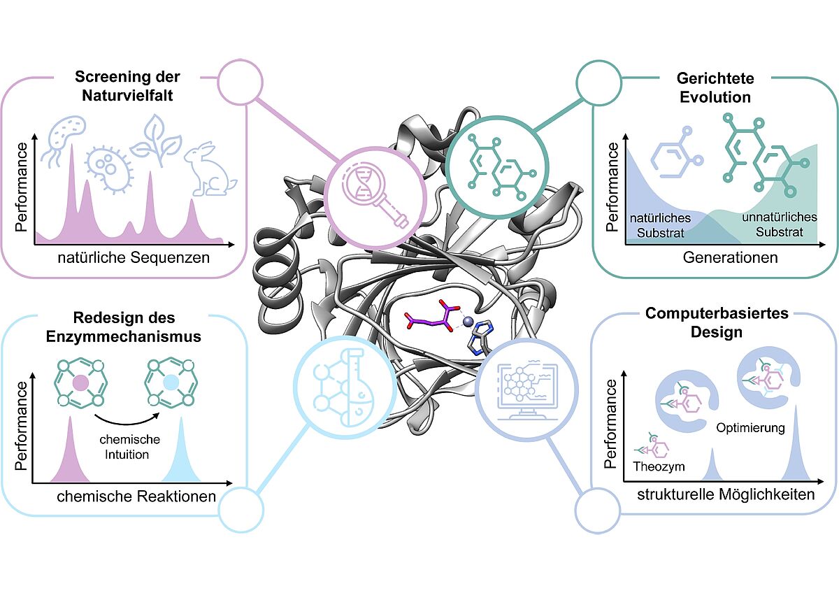 The image shows four strategies for designing biocatalysts