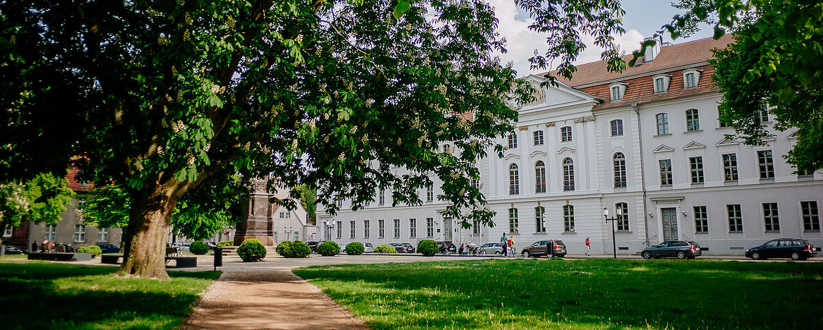 Auf dem Foto ist das Hauptgebäude der Universität Greifswald zu sehen. Der Rubenowplatz ist unmittelbar davor. Die Bäume sind belaubt. 
