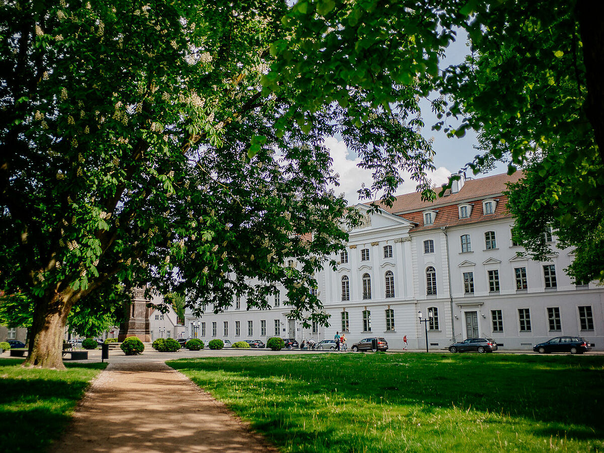 Symbolbild Universität Greifswald, ©Till-Junker, 2019