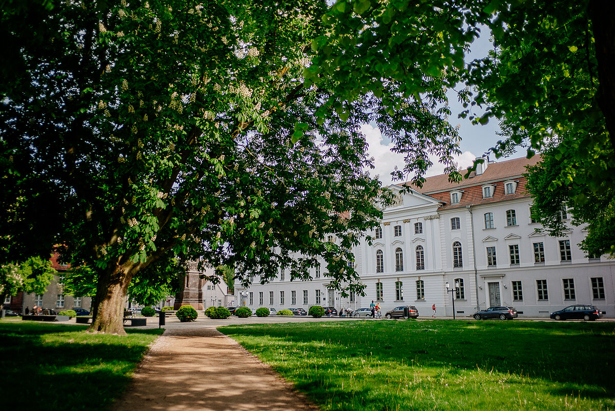 Auf dem Foto ist das Hauptgebäude der Universität Greifswald zu sehen. Der Rubenowplatz ist unmittelbar davor. Die Bäume sind belaubt. 