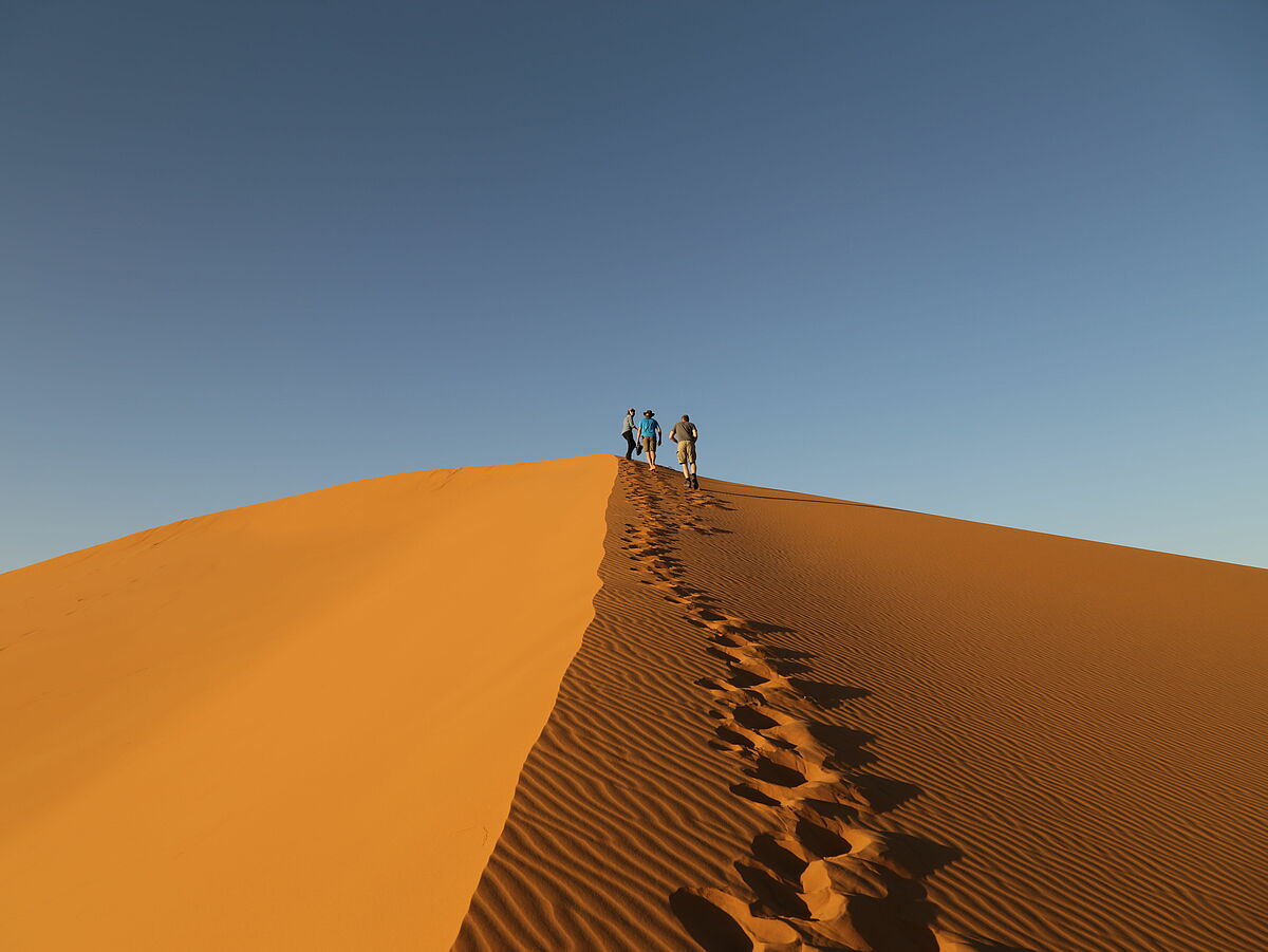 Personen laufen auf eine große Düne in Marokko.