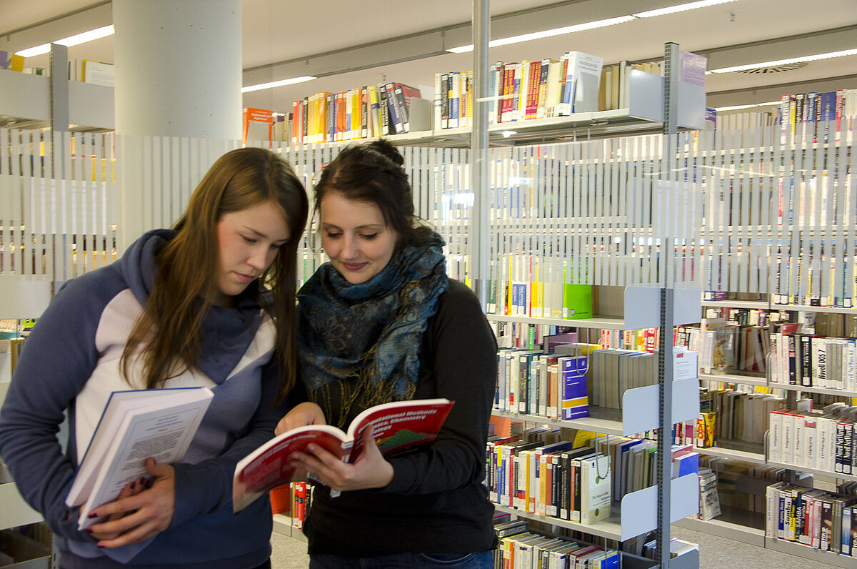 Mentoring for Female Graduates Interested in Doing a Doctorate