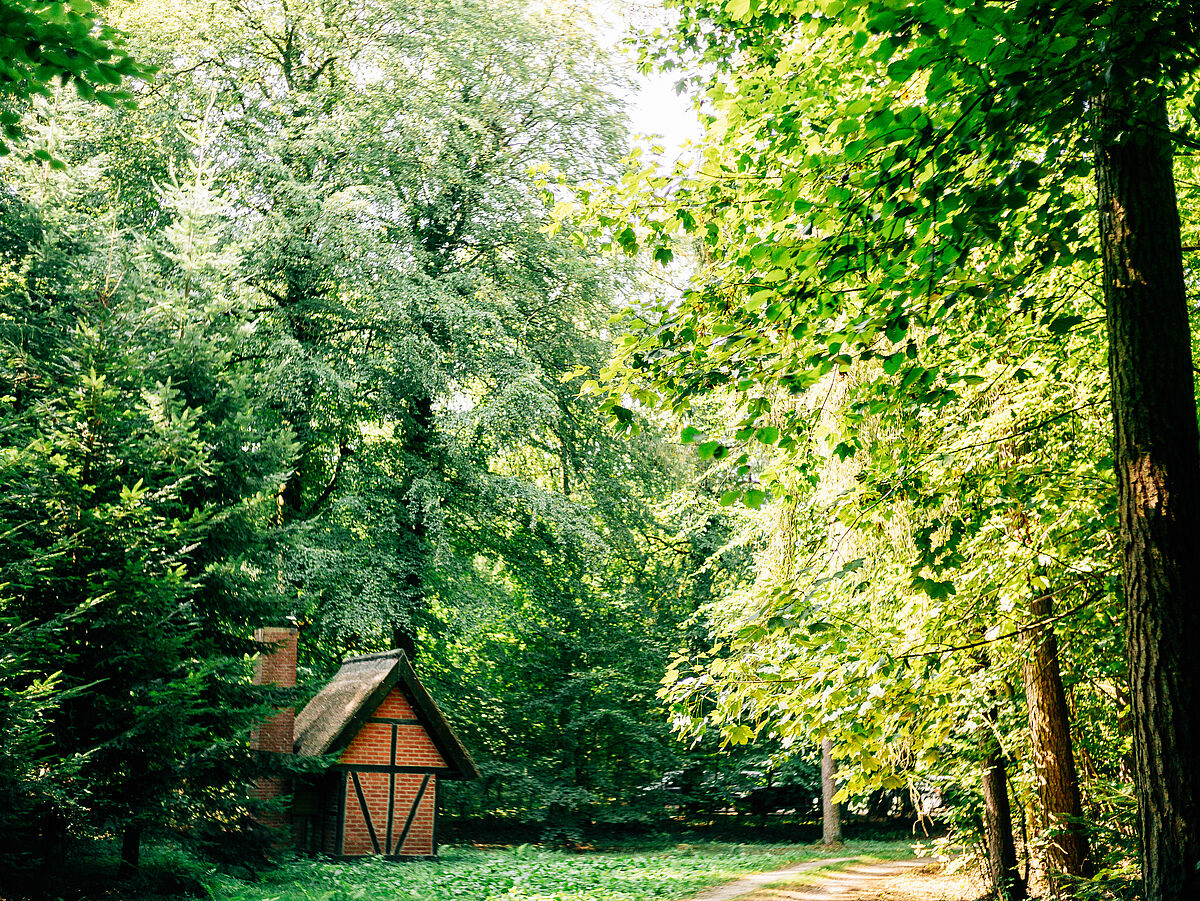 Universitätswald in Eldena, ©Till_Junker