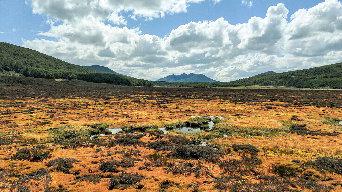 Moorlandschaft in Feuerland (Bright Spot Turba Tol)