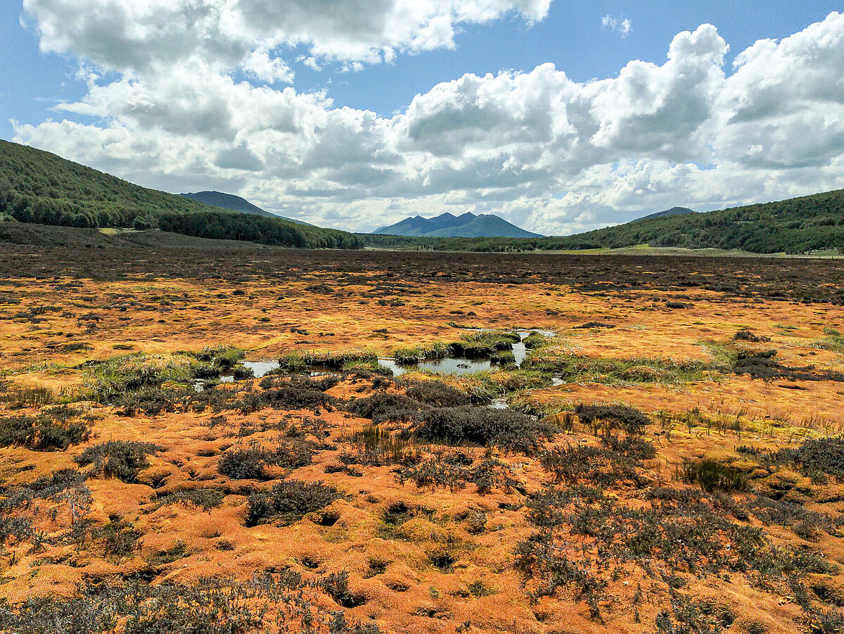 Moorlandschaft in Feuerland (Bright Spot Turba Tol)