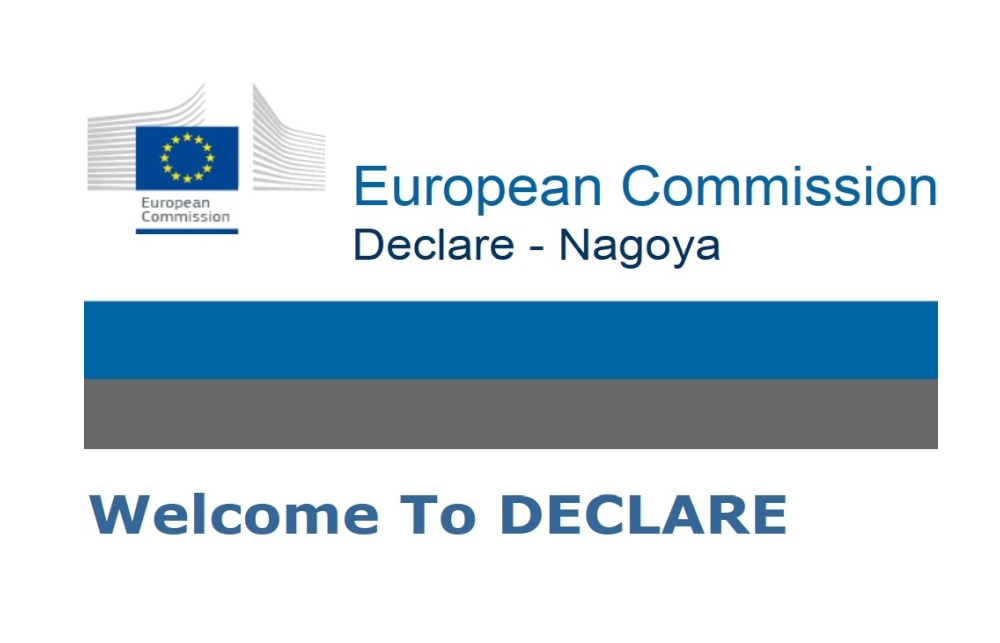 DECLARE Logo